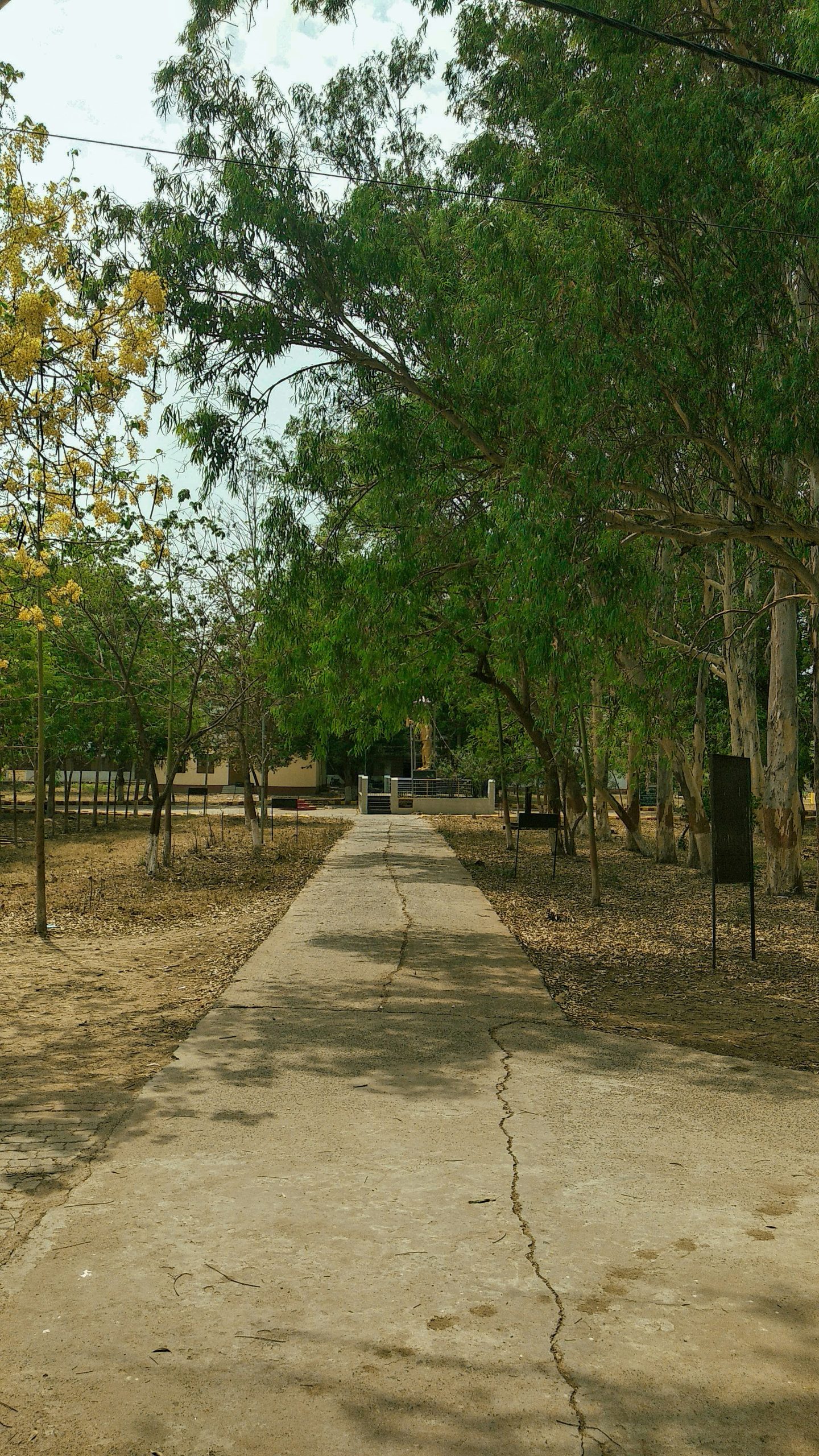 Palos verdes estates buy home driveway